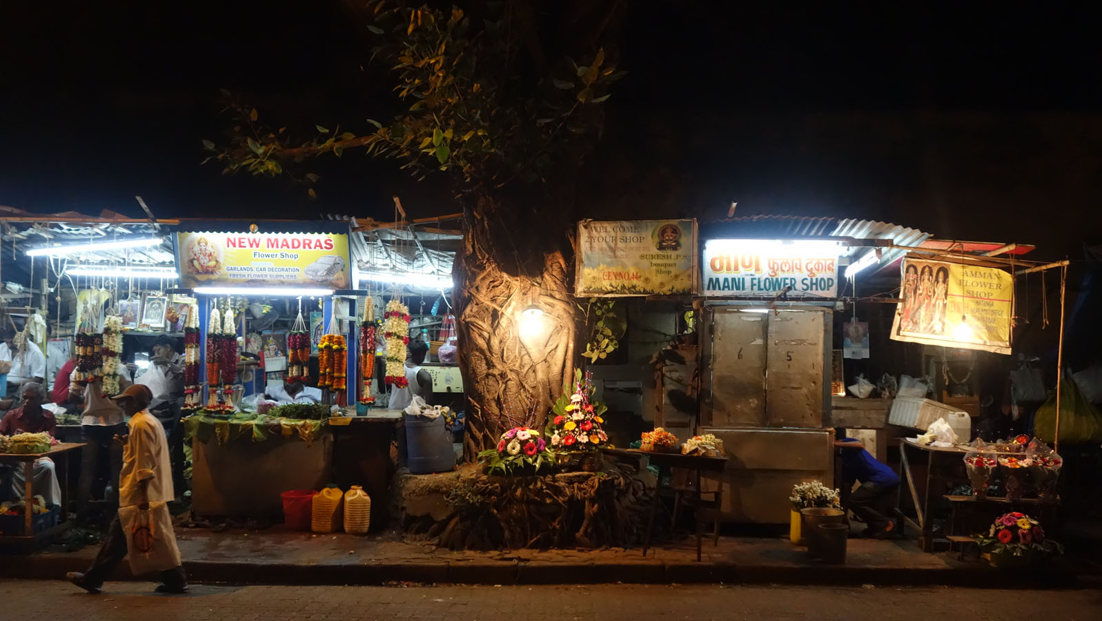 Matunga at Dusk